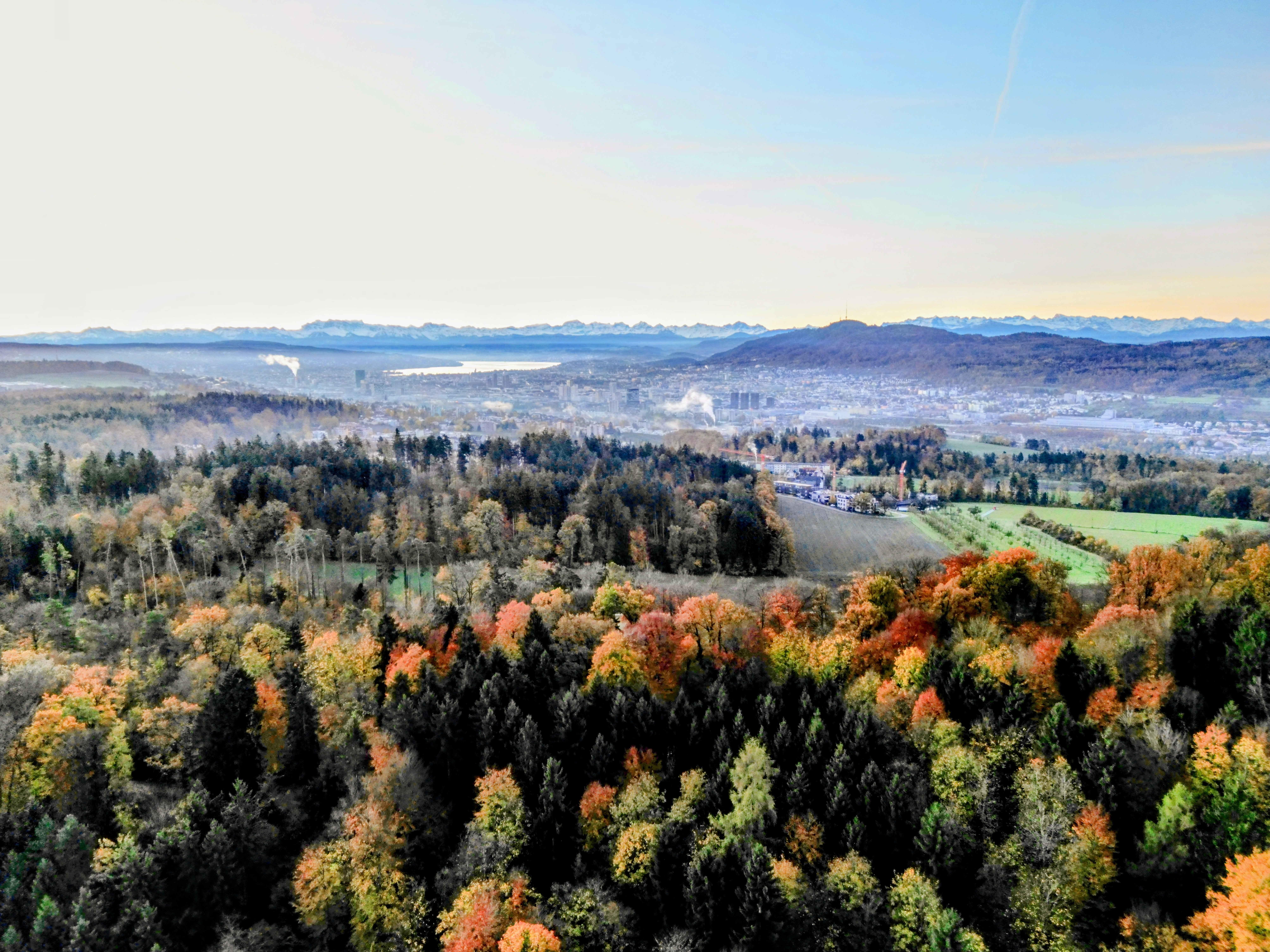 Ein herbstlicher Blick über den Gubrist auf Zürich und die Alpen