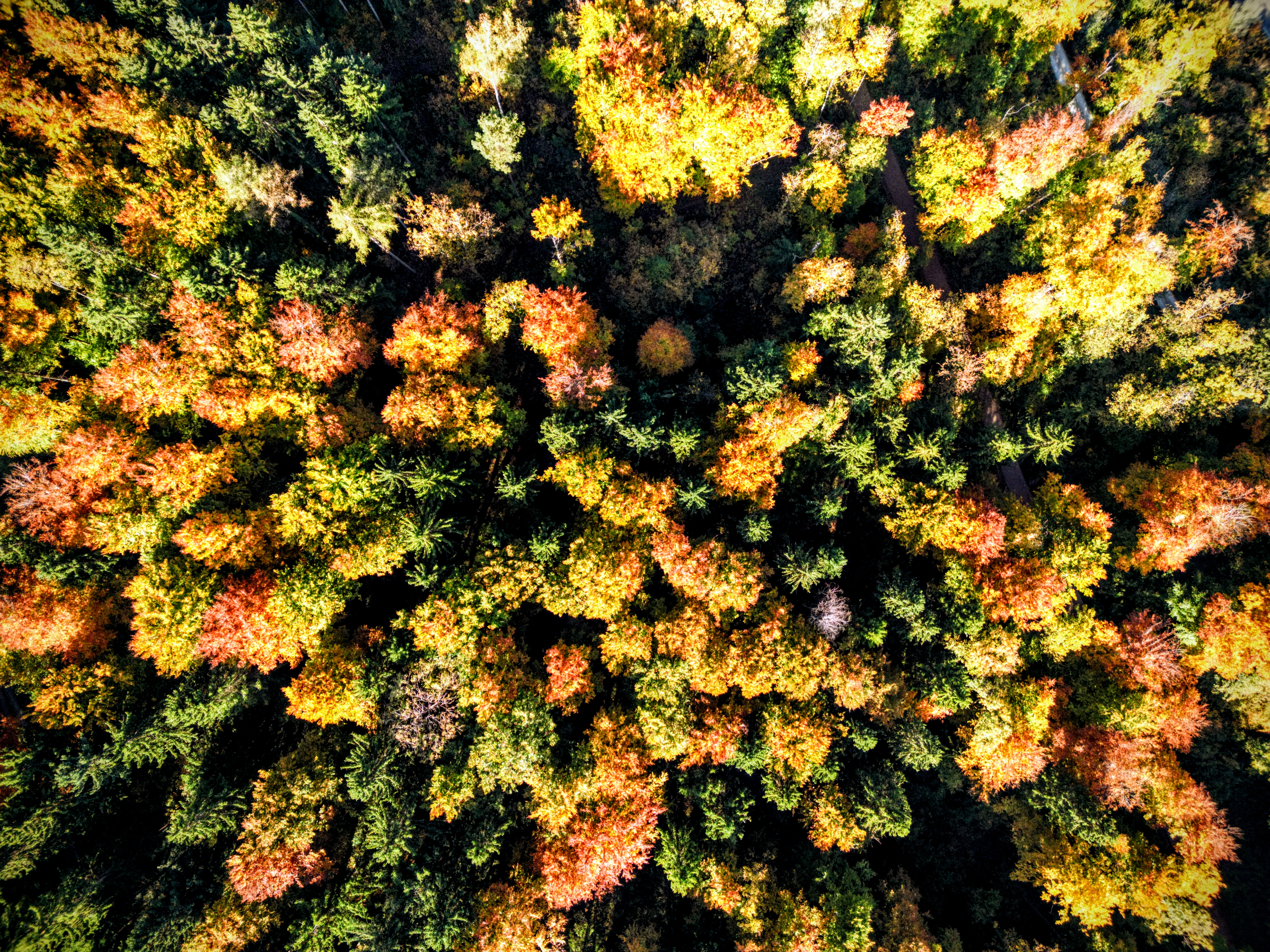Der Herbst von oben