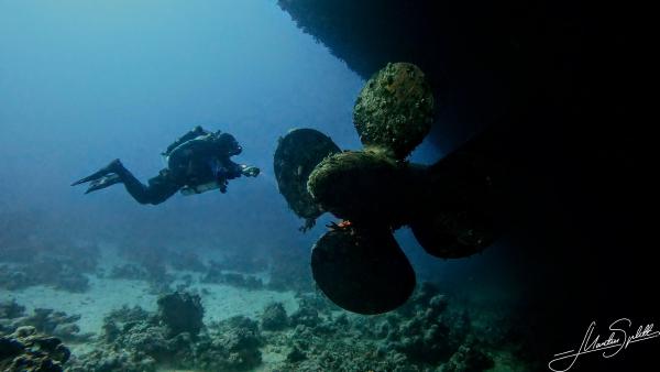 Am Wrack der Salem Express