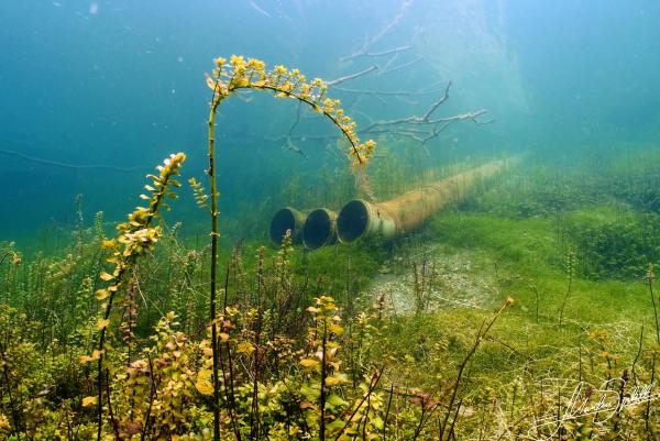 Wo Mensch und Natur sich begegnen, kann auch Schönheit entstehen