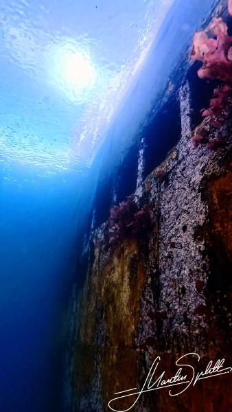 Das Wrack des Fabrikschiffs in der Antarktis wurde von der Natur zurückerobert