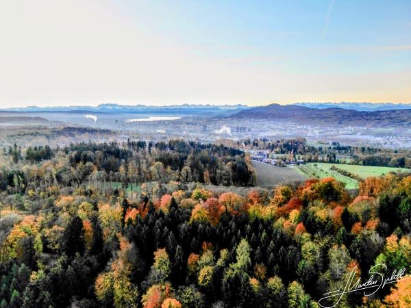 Ein herbstlicher Blick über den Gubrist auf Zürich und die Alpen